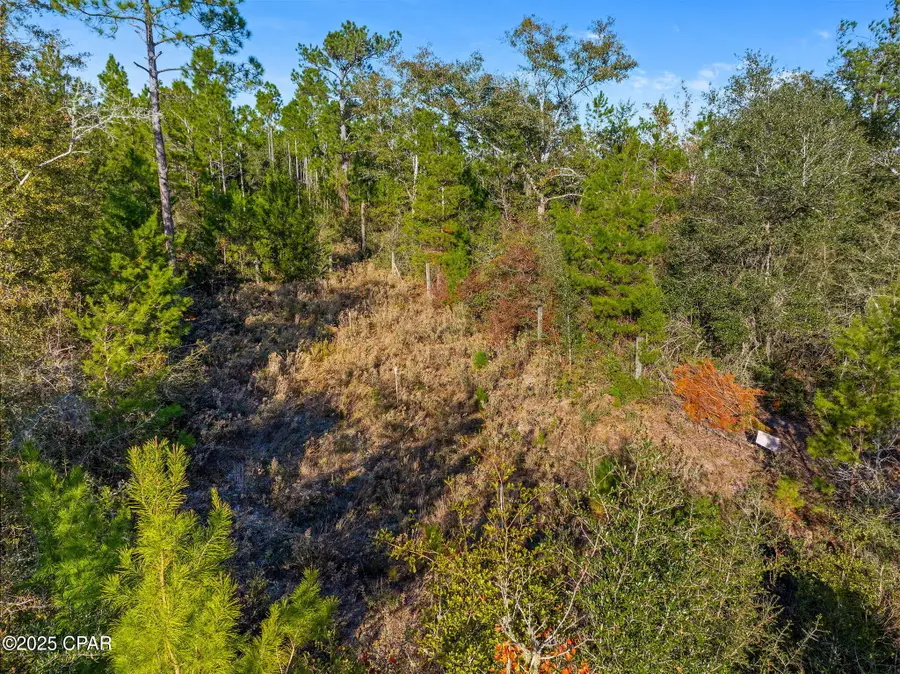 TBD NW Nw Cr 274, Altha, FL 32421 - #2