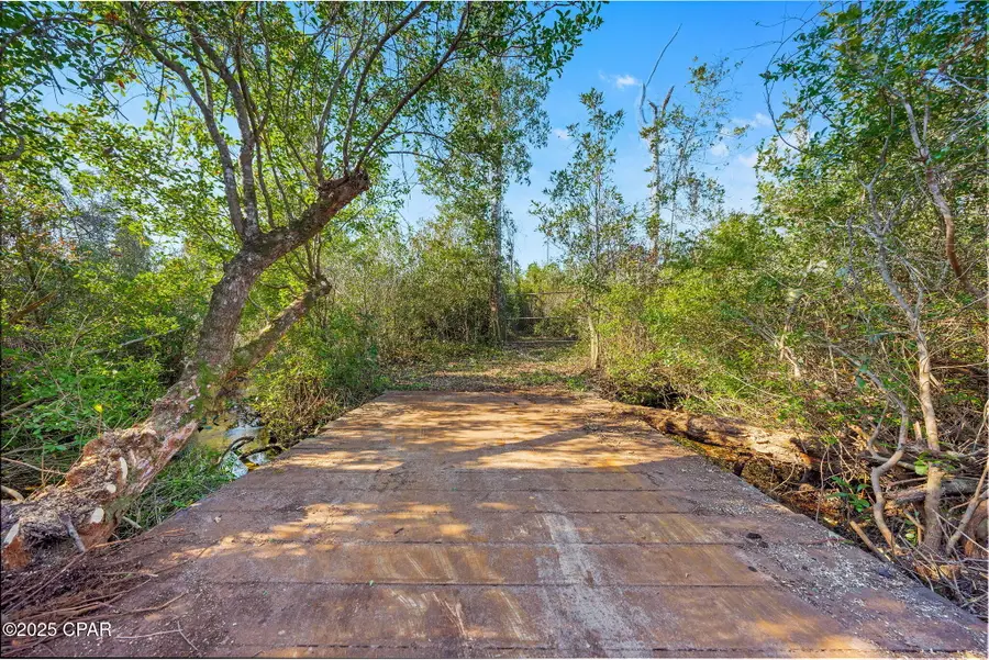 TBD NW Nw Cr 274, Altha, FL 32421 - #3