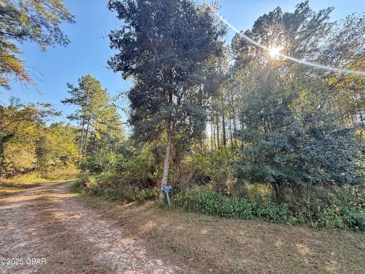 00 Lure Lane, Sneads, FL 32460 - #1