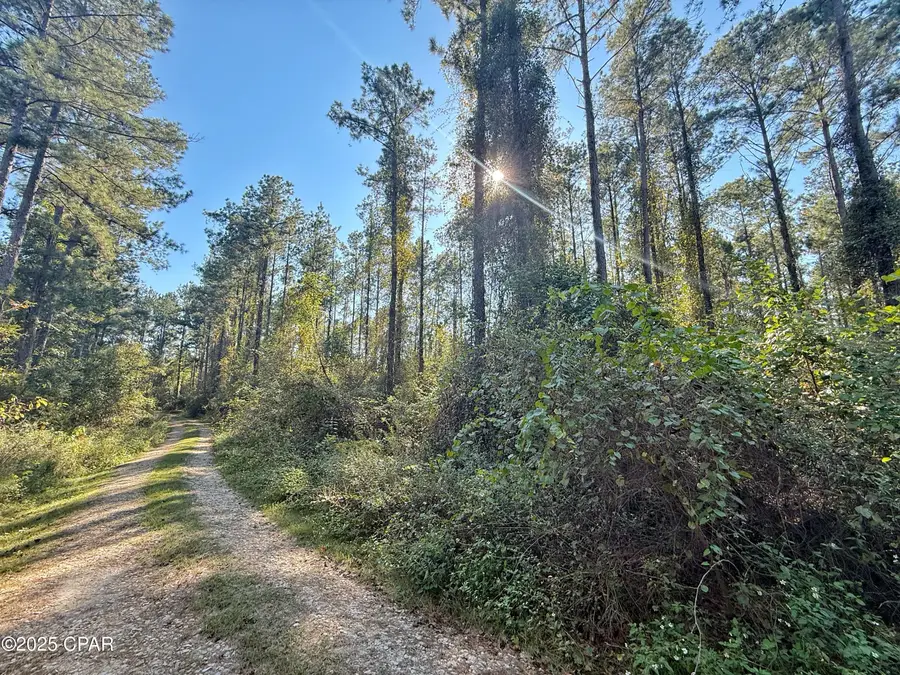 00 Lure Lane, Sneads, FL 32460 - #2