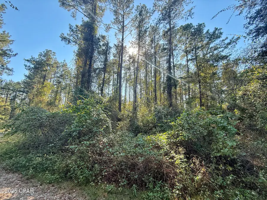00 Lure Lane, Sneads, FL 32460 - #3