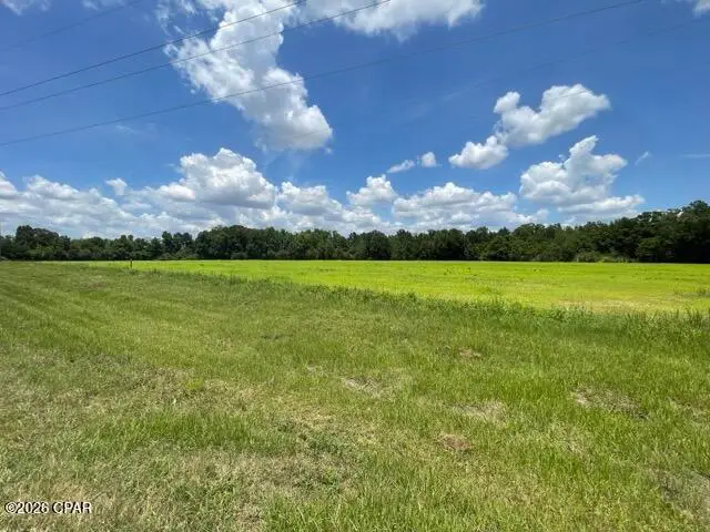 0000 Peanut Road, Graceville, FL 32440 - #1