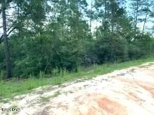 00 Bay Drive #lot 51,52, Marianna, FL 32448 - #3