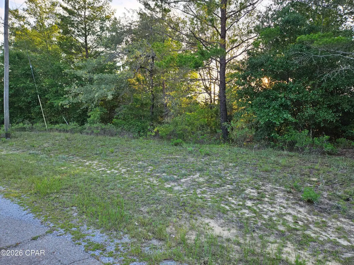 Lot 3 Parkview Drive, Chipley, FL 32428 - #1