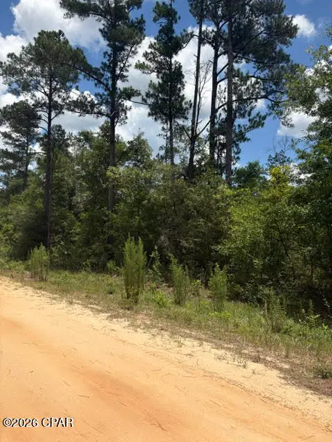 0 Tiger Avenue #LT3 BLK75, Marianna, FL 32448 - #1