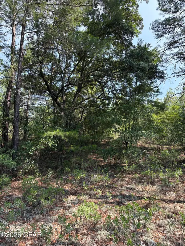 Lot 2 Dumajack Road, Chipley, FL 32428