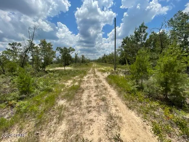 0000A NW Rowland Lane, Fountain, FL 32438 - #2