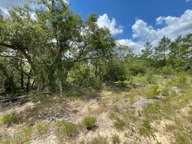 0000A NW Rowland Lane, Fountain, FL 32438 - #3