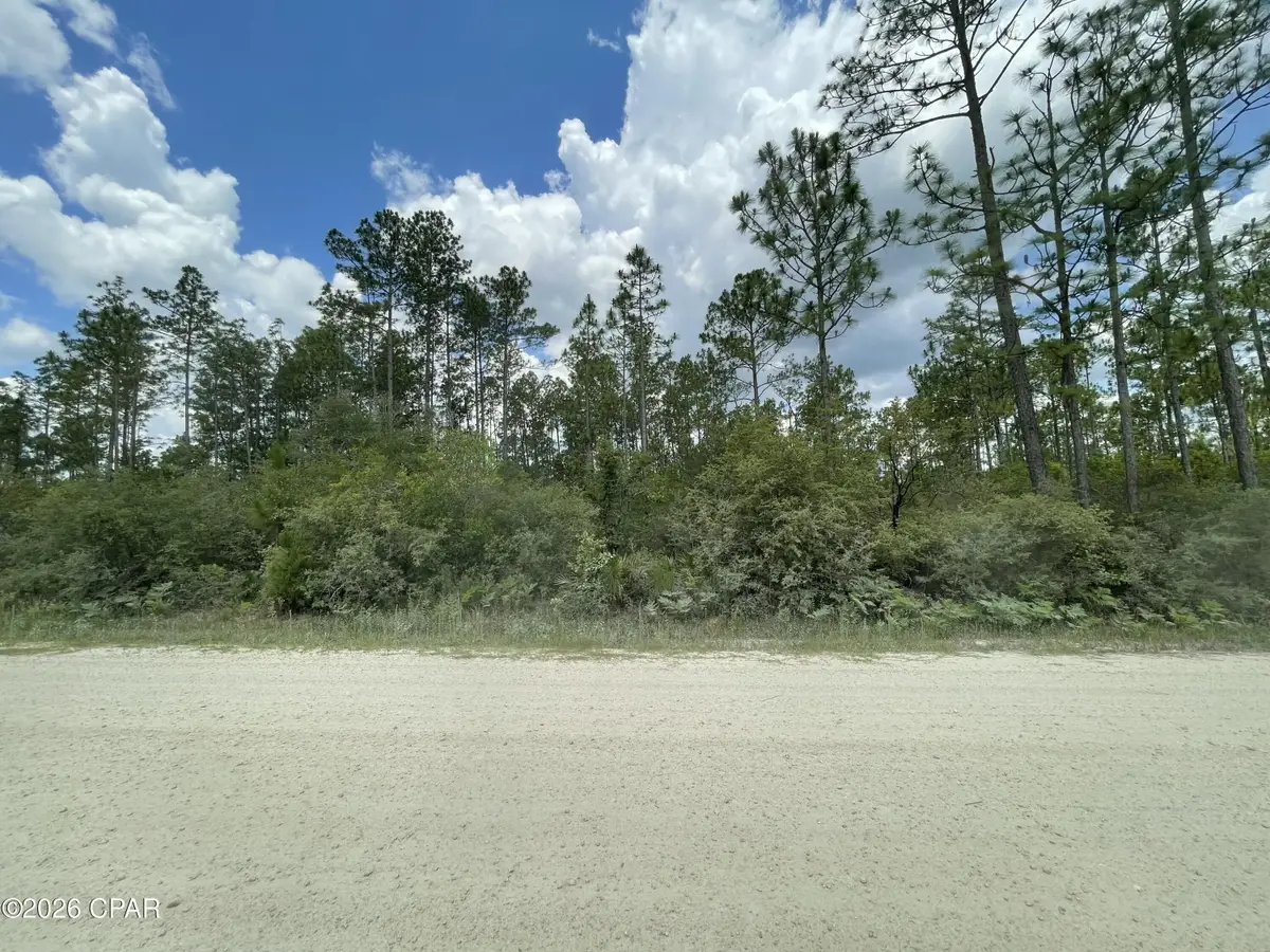 000B NW Lake Lillian Avenue, Fountain, FL 32438 - #1