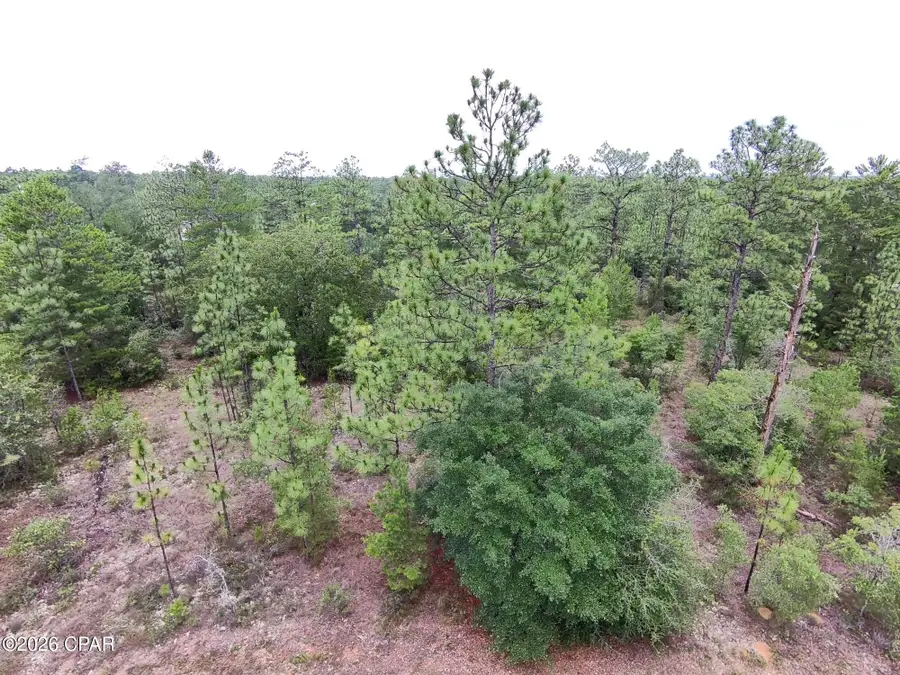 LOT 24 Newmoon Drive, Chipley, FL 32428 - #2