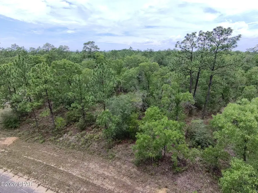 LOT 13 Pinellas Drive, Chipley, FL 32428 - #3