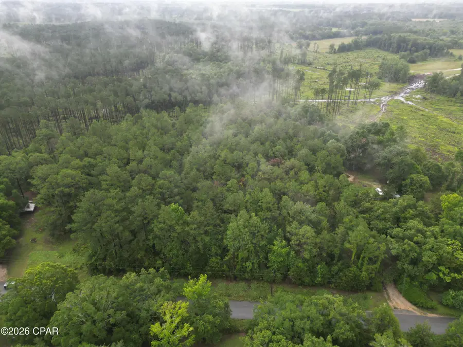 0000 Beall Packing House Road, Bonifay, FL 32425 - #2