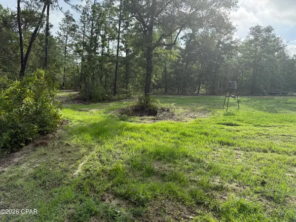 516 Goshun Creek Road, Chipley, FL 32428