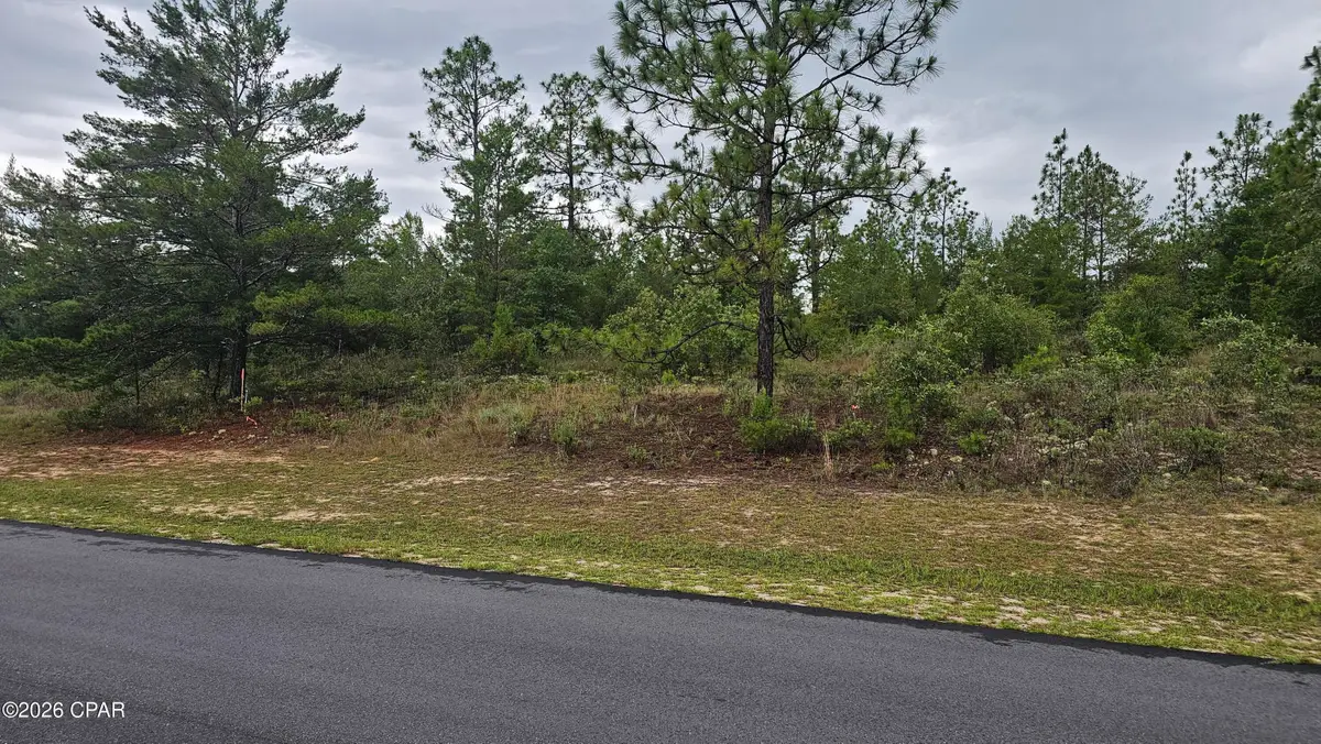 Lot 3 Deadening Road, Chipley, FL 32428 - #1