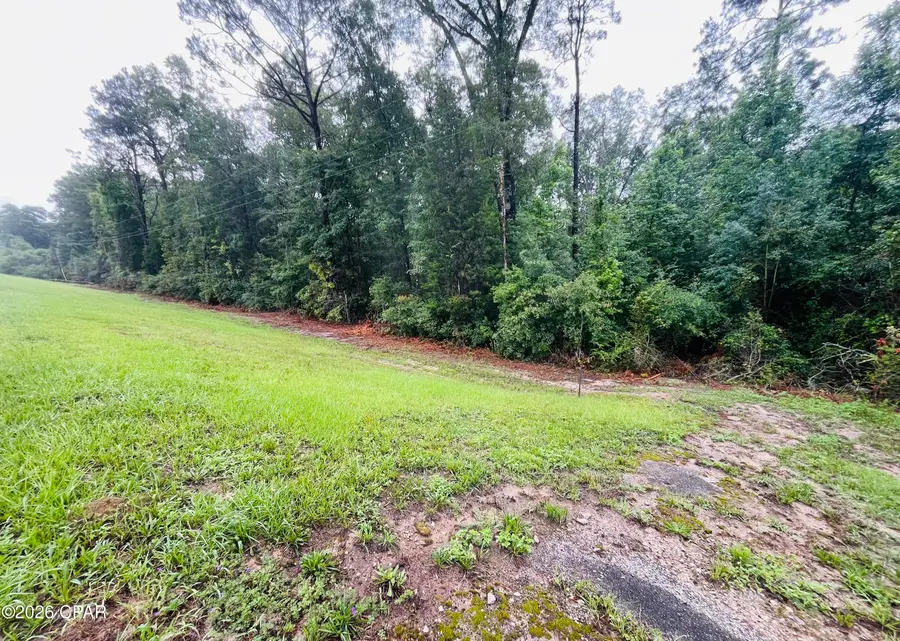 TBD Highway 90, Bonifay, FL 32425 - #2