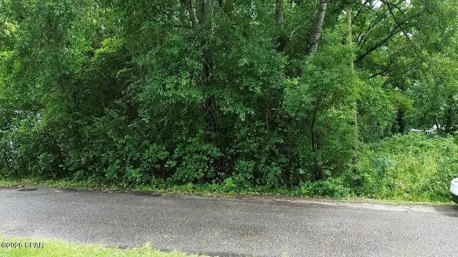 Lot 1 Washington Street, Graceville, FL 32440 - #2