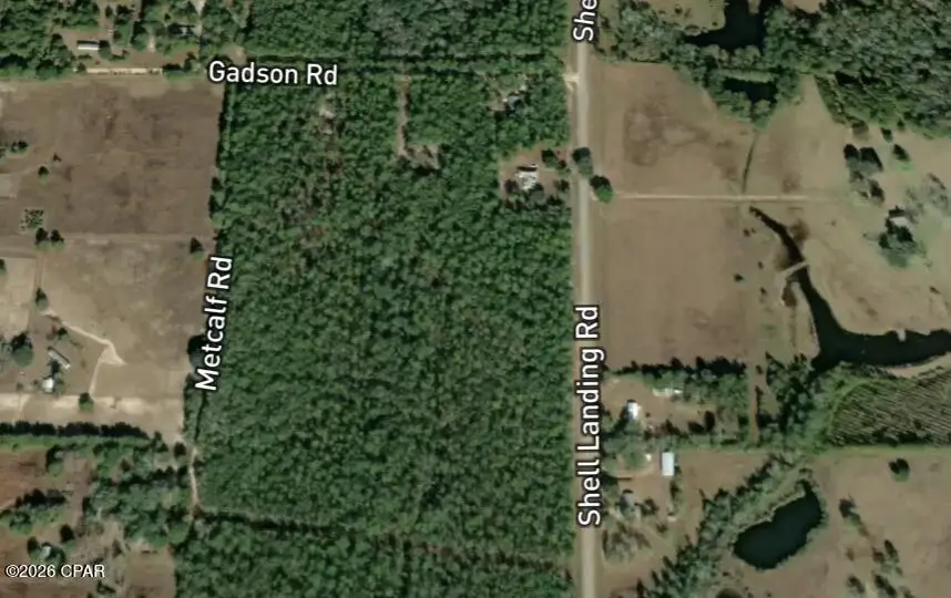 XXX Pine Avenue, Vernon, FL 32462 - #2