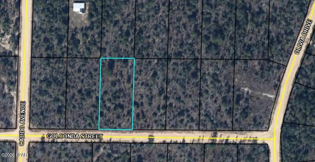 0 Golconda Street, Alford, FL 32420 - #1