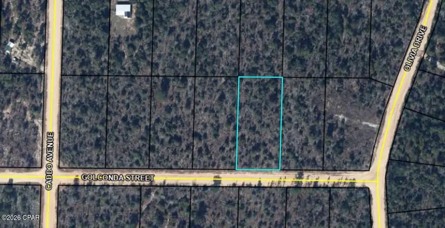 0 Golconda Street, Alford, FL 32420 - #3