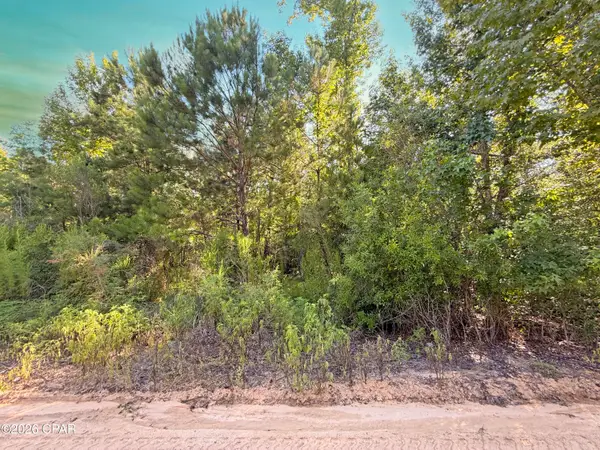 6019 SE Blon Carter Road, Blountstown, FL 32424