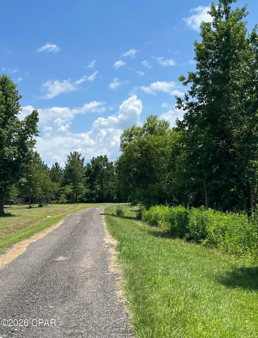 00 Gotcha Road, Marianna, FL 32448 - #3