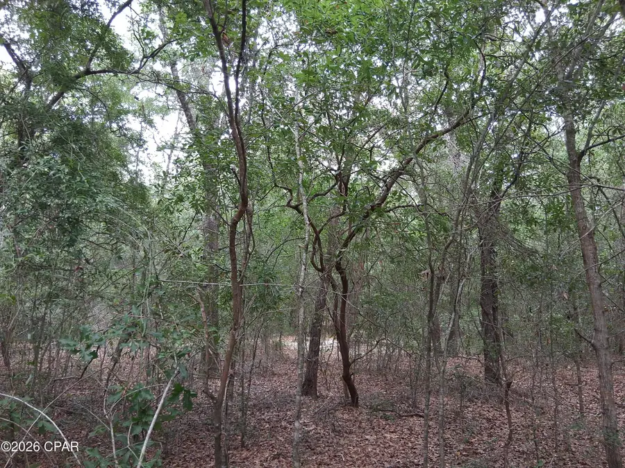 Lot 6 Wellington Place #1, Chipley, FL 32428 - #3