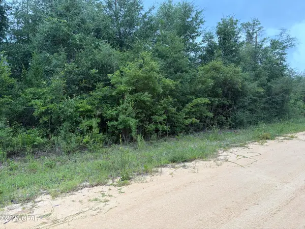 0 Kokomo Avenue, Alford, FL 32420