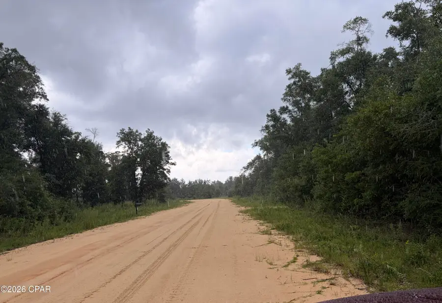 0 Kokomo Avenue, Alford, FL 32420 - #3