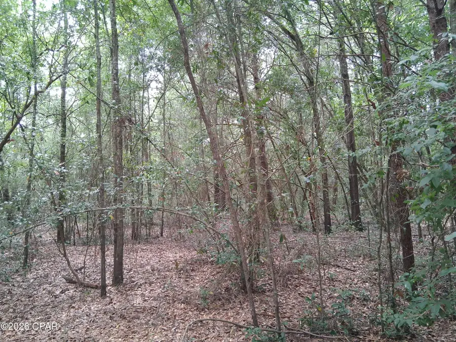 Lot 11 Eastbrook Drive #2, Chipley, FL 32428 - #3