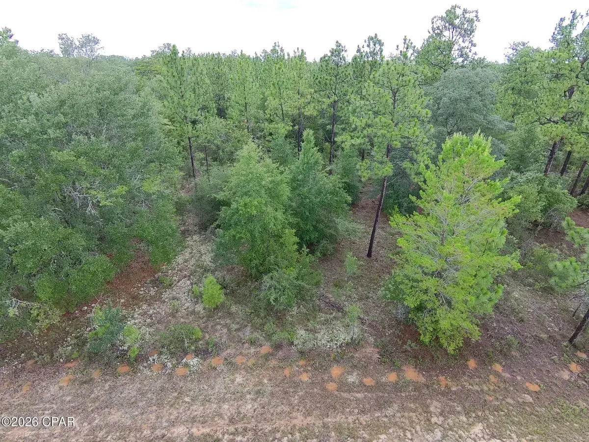 LOT 12 Yorkshire Drive, Chipley, FL 32428 - #1