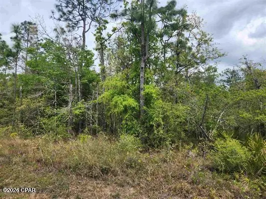 XXX NW Lake Center Road, Fountain, FL 32438 - #1