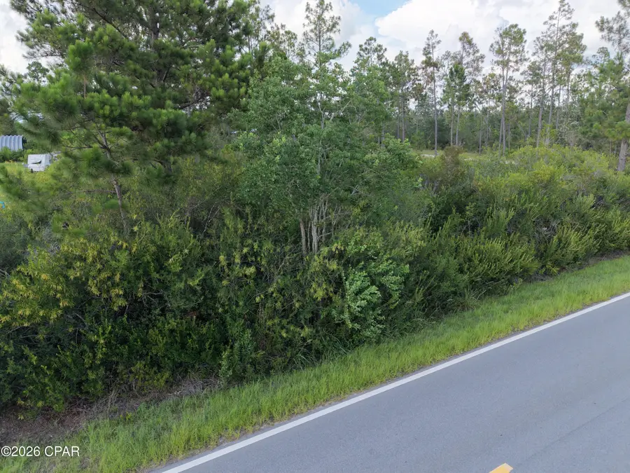 Lot 5 Borders Road, Wewahitchka, FL 32465 - #3