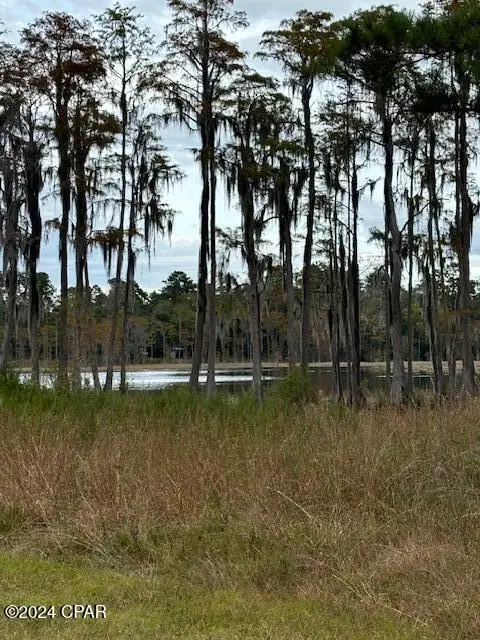 0000 Everest Drive, Chipley, FL 32428 - #1
