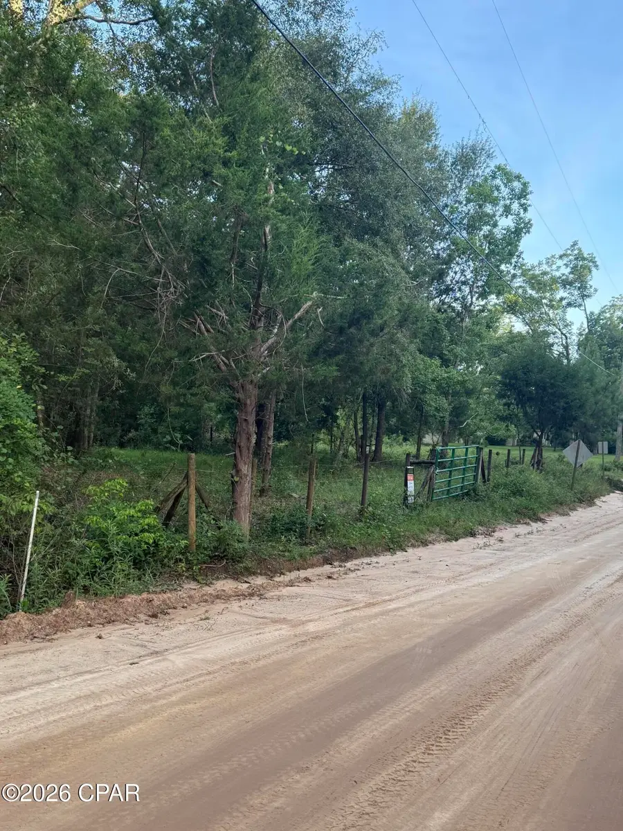 00 S Chance Road, Bonifay, FL 32425 - #2