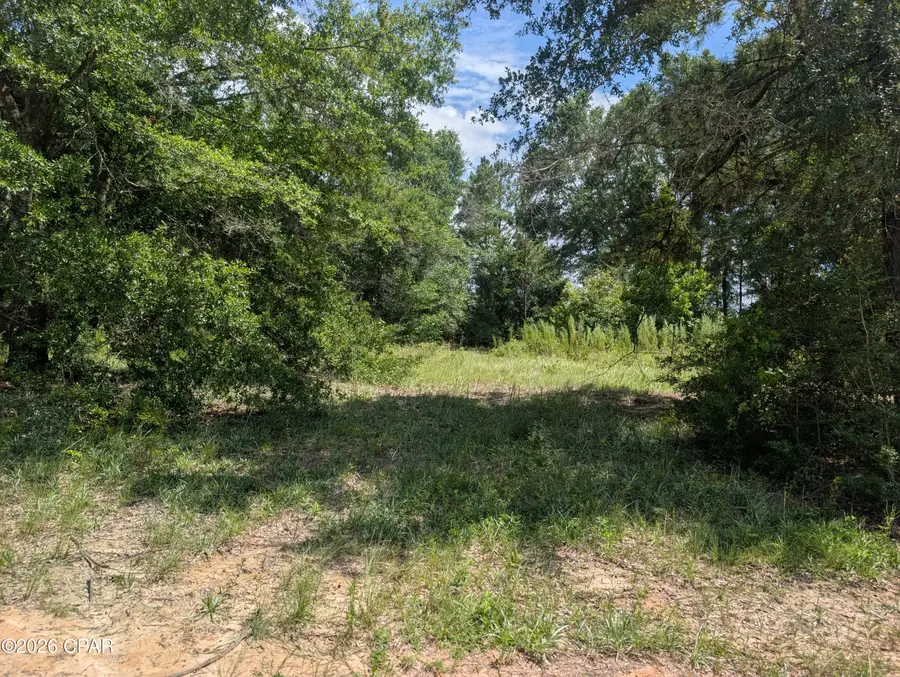 0 Marian Drive, Bonifay, FL 32425 - #2