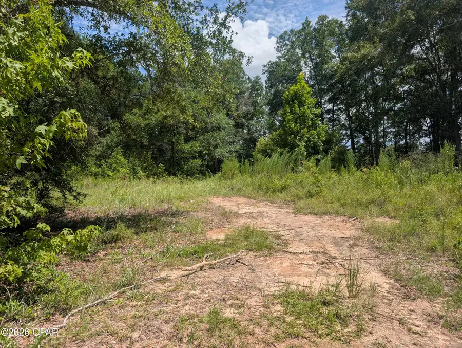 0 Marian Drive, Bonifay, FL 32425 - #3