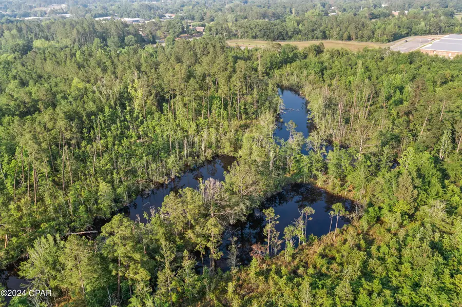 XXX Kirkland Road, Chipley, FL 32428 - #3