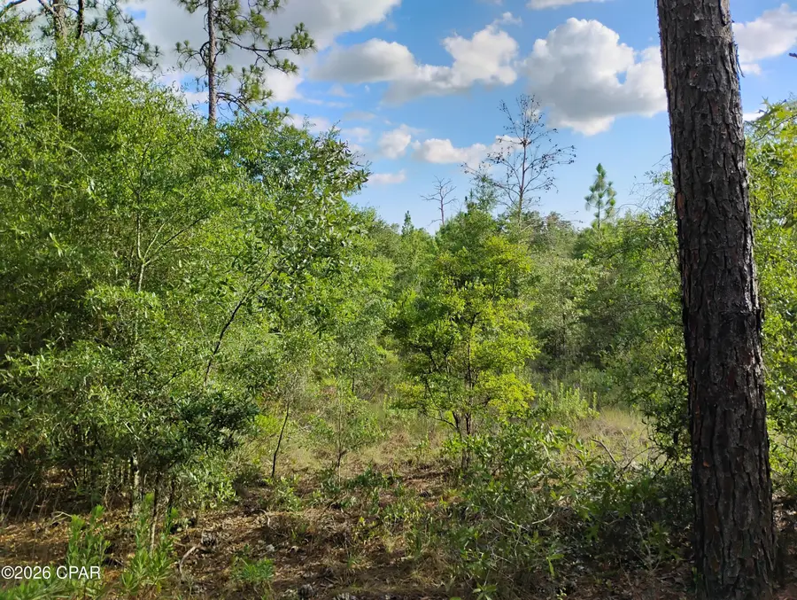 Lot 19 Country Club Boulevard, Chipley, FL 32428 - #3