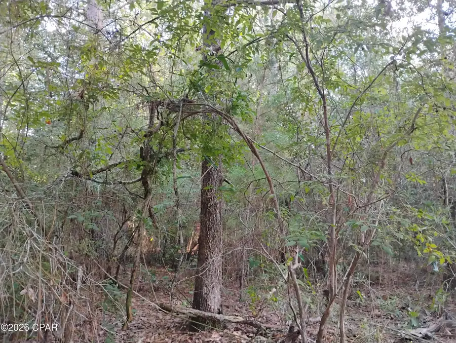 Lot 22 Linwood Drive, Chipley, FL 32428 - #3