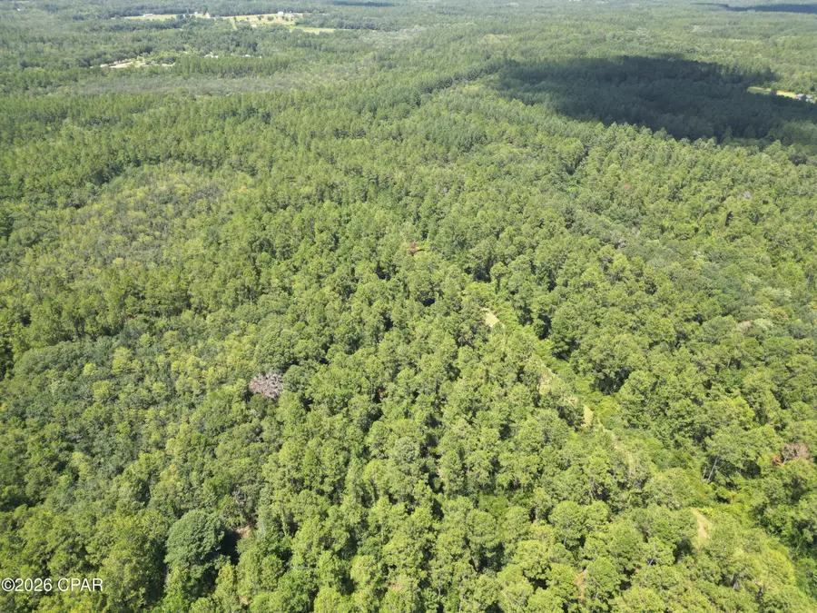 0013 Hawthorne Trl Canopy Oaks Trail, Bonifay, FL 32425 - #3