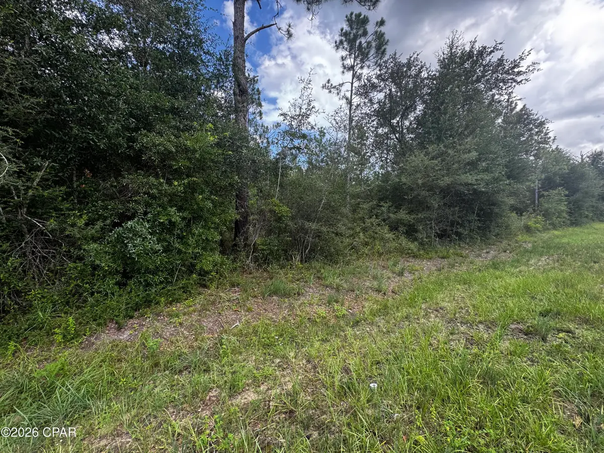 000 NW Lake Mckenzie Boulevard, Altha, FL 32421 - #1