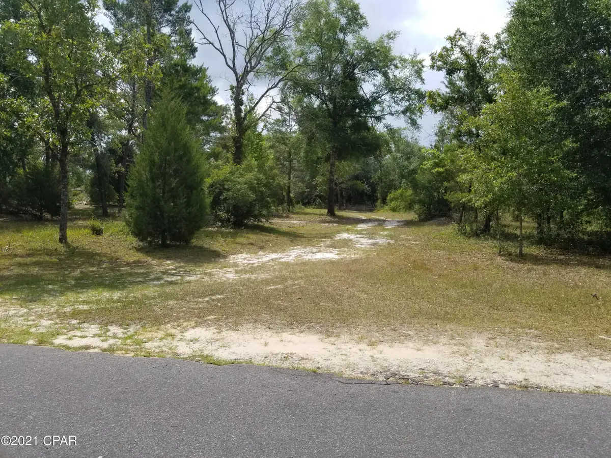 4390 Leisure Lakes Drive, Chipley, FL 32428 - #1