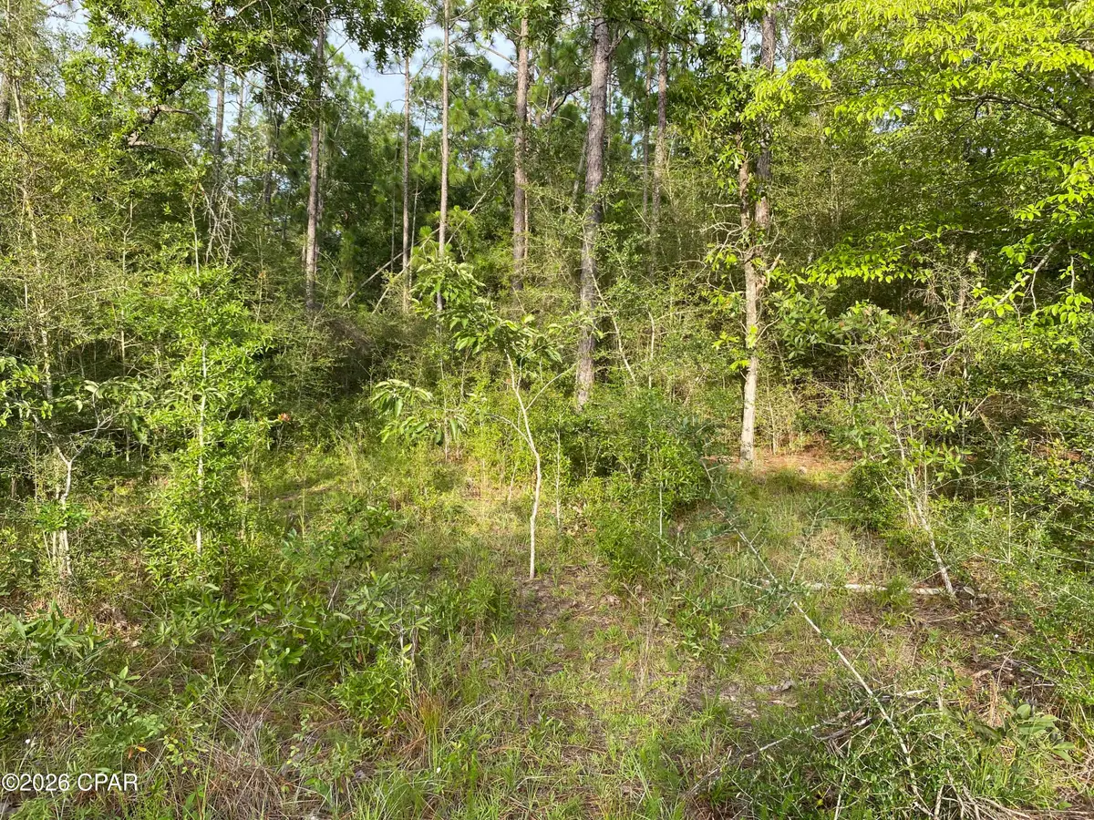 LOT 30 Putnam Avenue, Alford, FL 32420 - #1