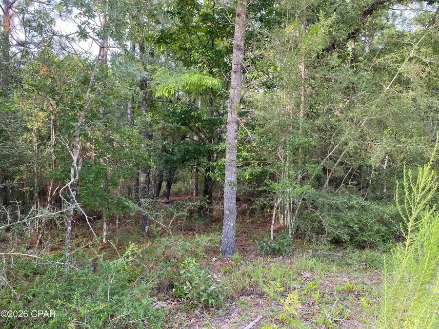 LOT 30 Putnam Avenue, Alford, FL 32420 - #3