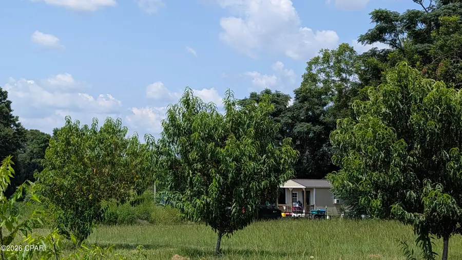 4710 Highway 71, Greenwood, FL 32443 - #3