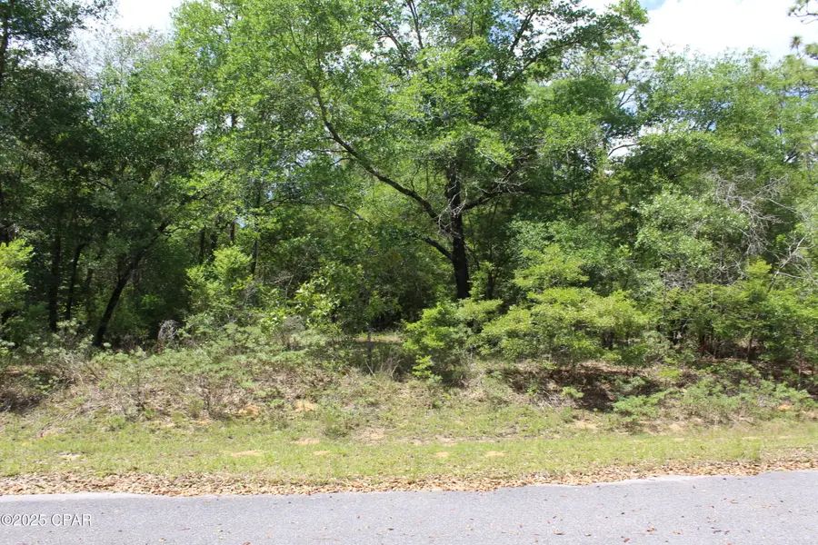Lot 17 Arnone Lane, Chipley, FL 32428 - #2