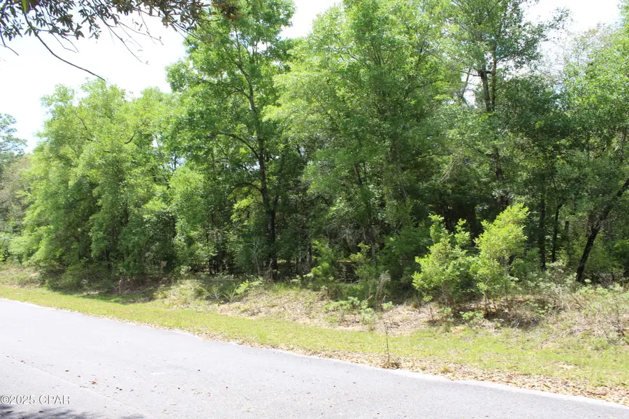 Lot 17 Arnone Lane, Chipley, FL 32428 - #3