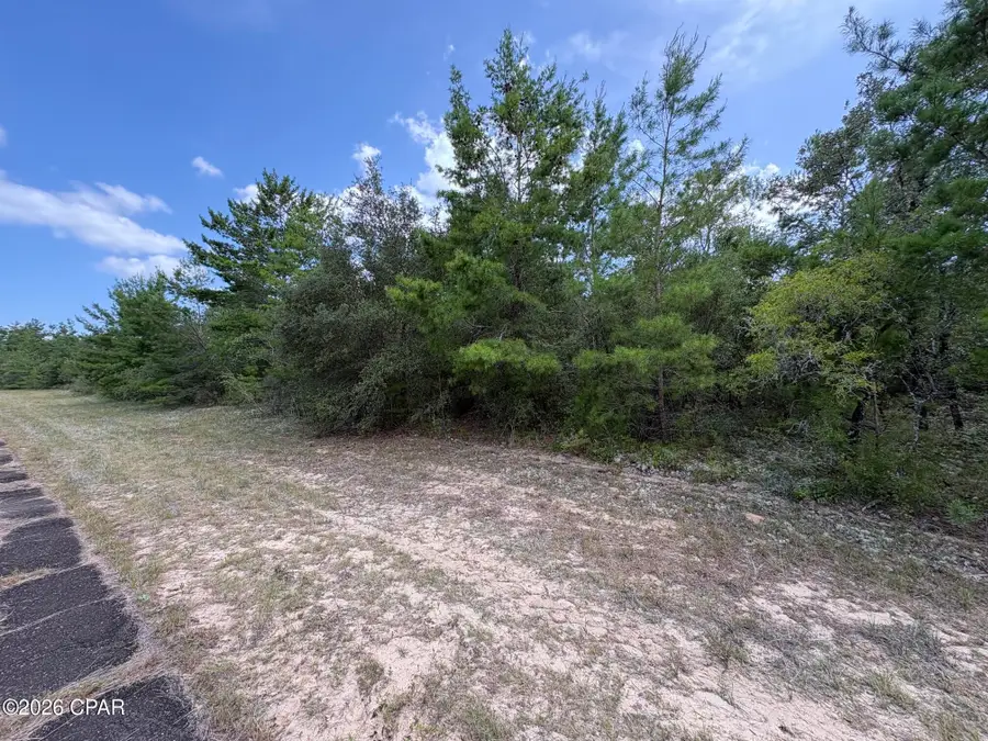 LOT 2 Confetti Place, Chipley, FL 32428 - #2