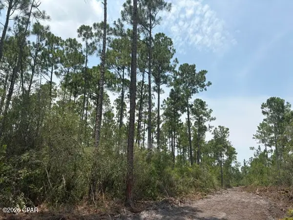 22563 NW Lake Mckenzie Boulevard, Altha, FL 32421