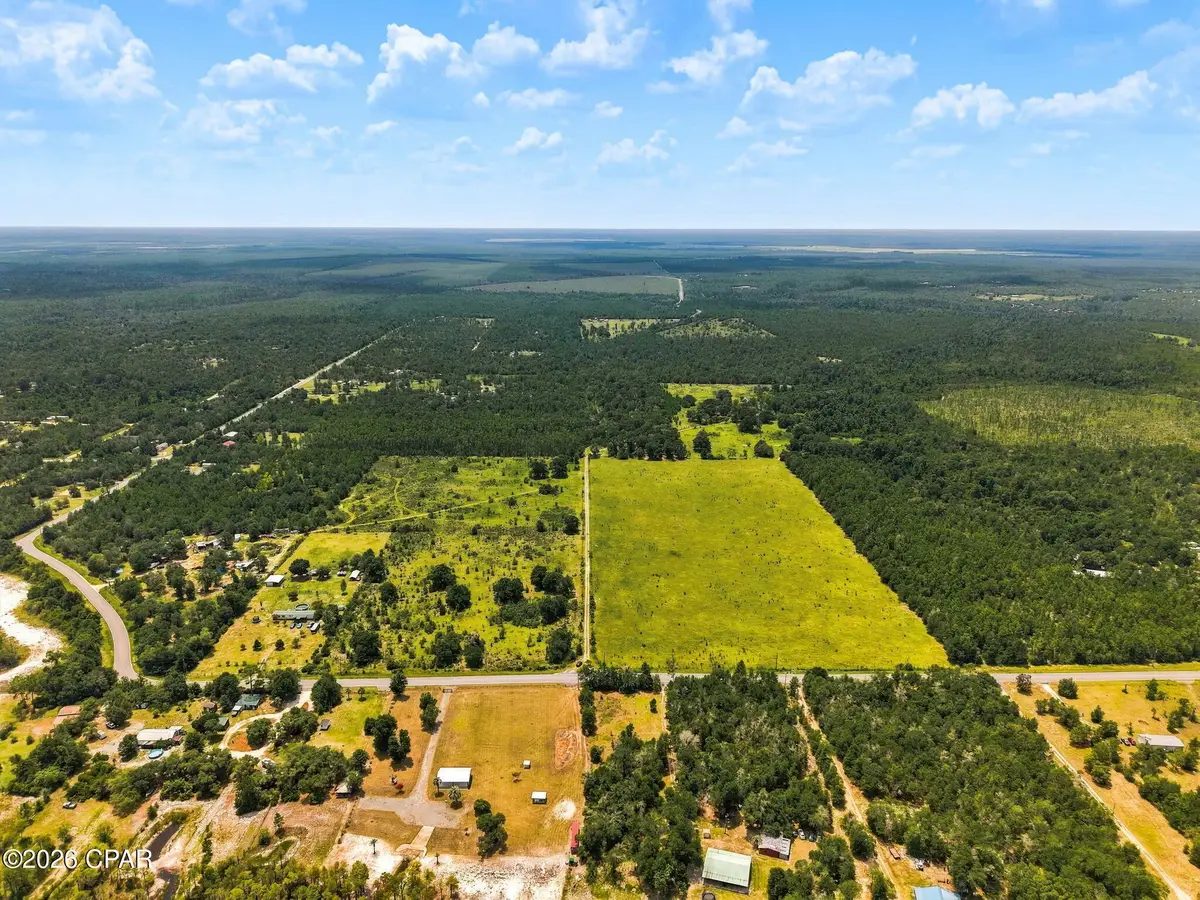 20905 NW Henson Road, Altha, FL 32421 - #1